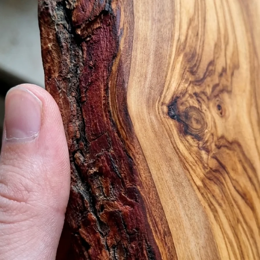 Cut Out of One Trunk, So There Is No Seam to Open